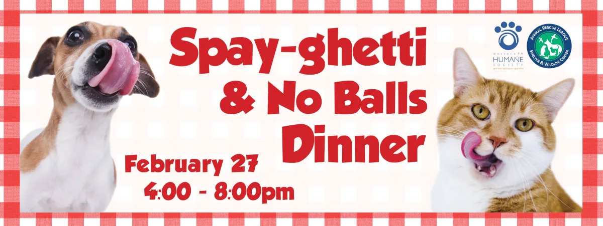 Spay-ghetti & No Balls Dinner @ 