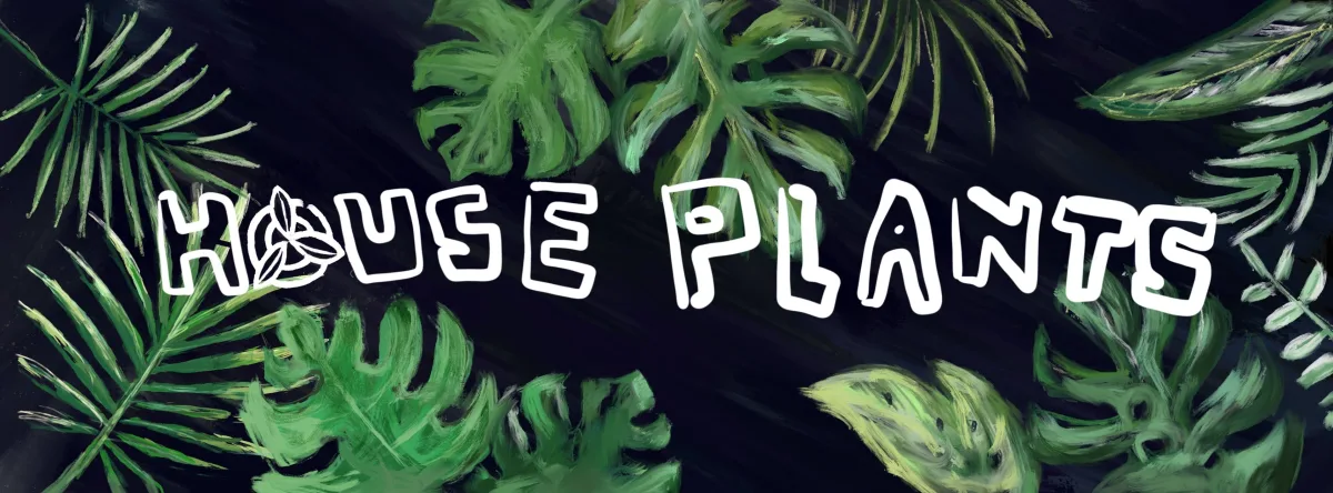 House Plants at Remedy: August @ Remedy