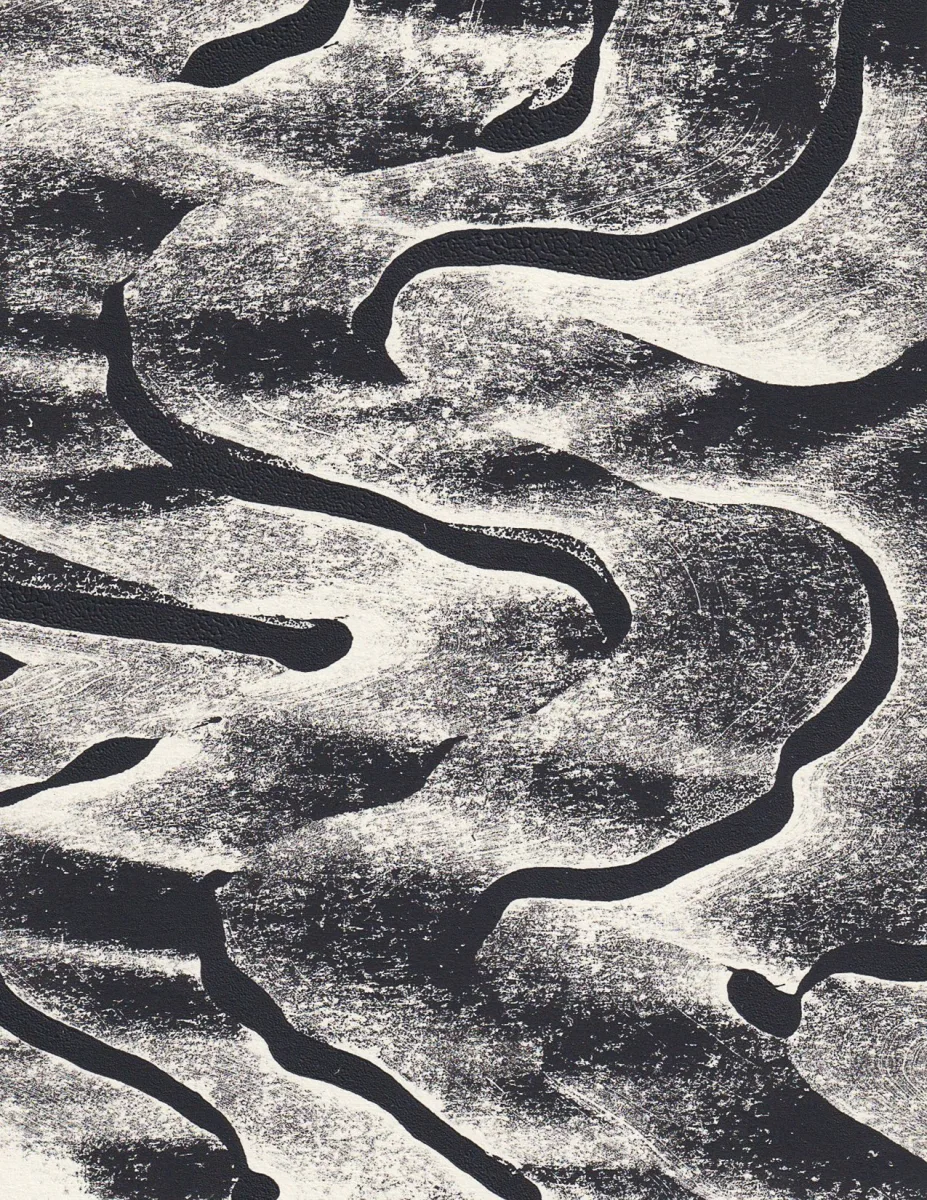 LUCY / Lucite Spine / Sheridan Woika /  Cliff Fields / estelle / County Conservation District @ Collision