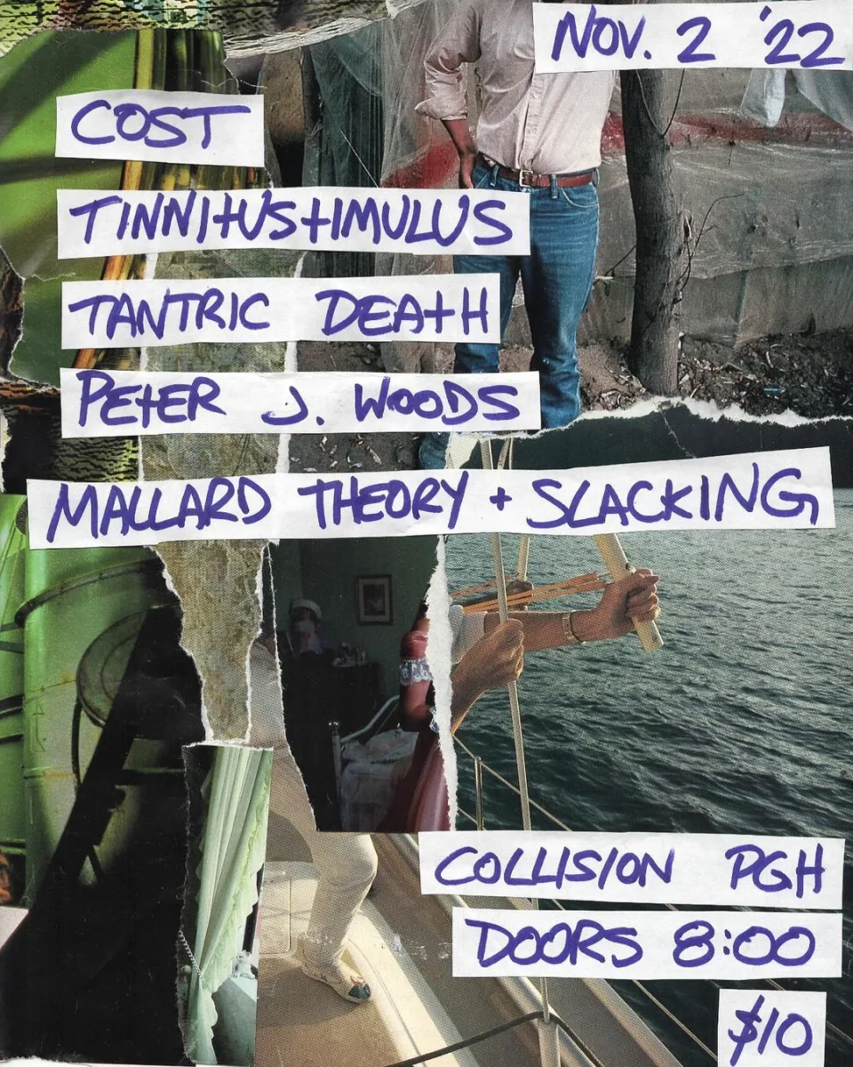Cost, Tinnhustimulus, Tantric, Death, Peter J Woods, Mallard Theory, Slacking @ Collision