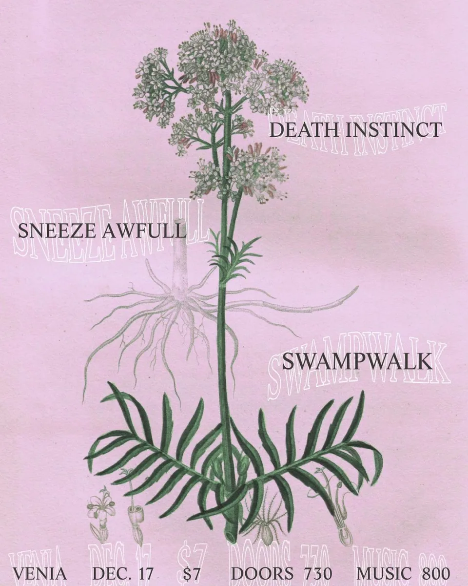 Death Instinct, Sneeze Awefull, Swampwalk @ Venia
