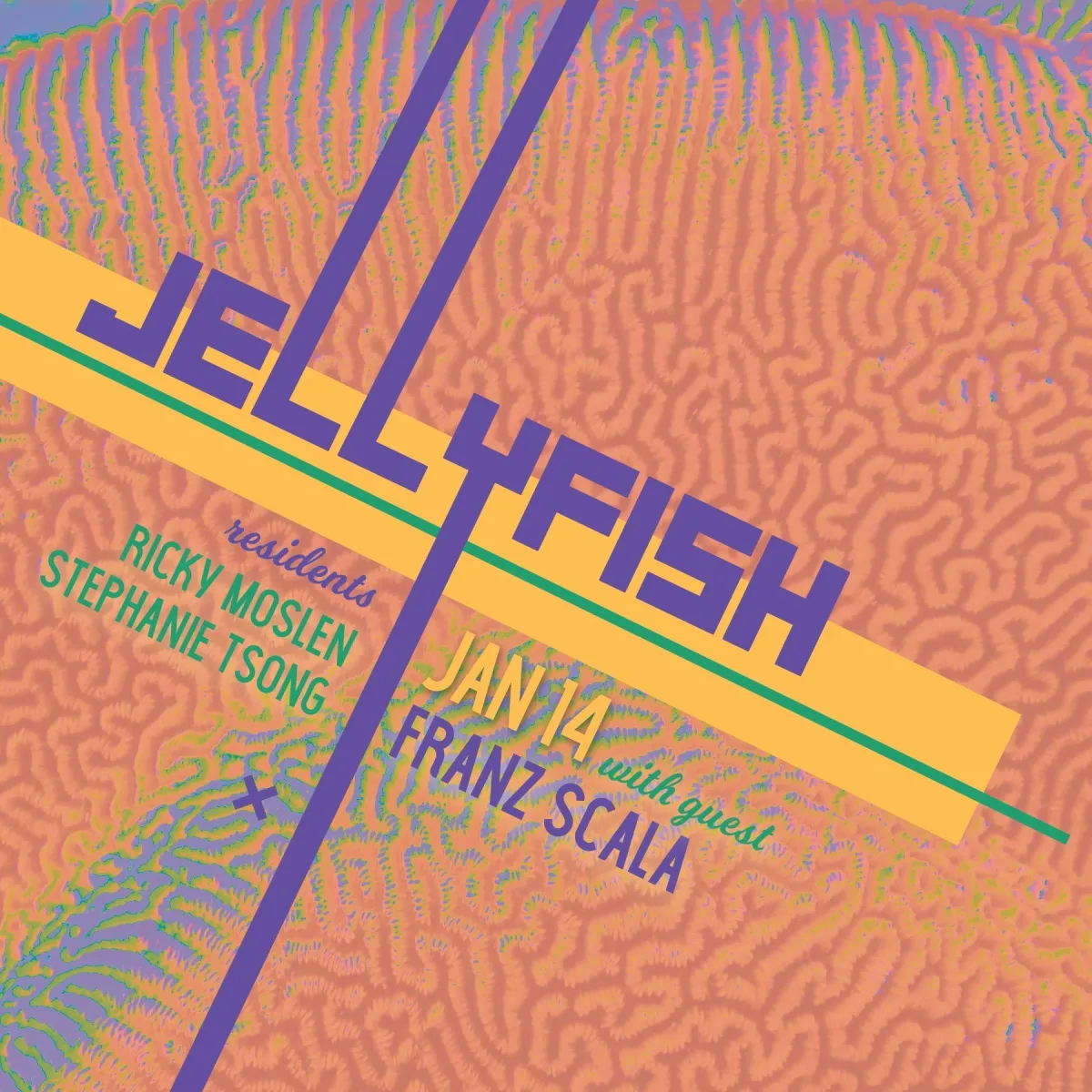 JELLYFISH w/ Franz Scala (Bordello a Parigi, Berlin) @ P-Town