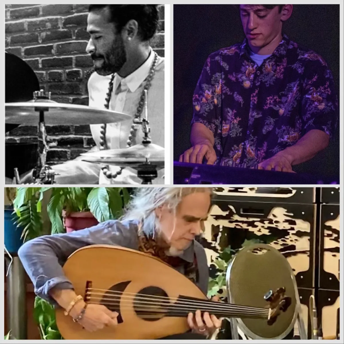Tomchess Trio @ Sprezzatura