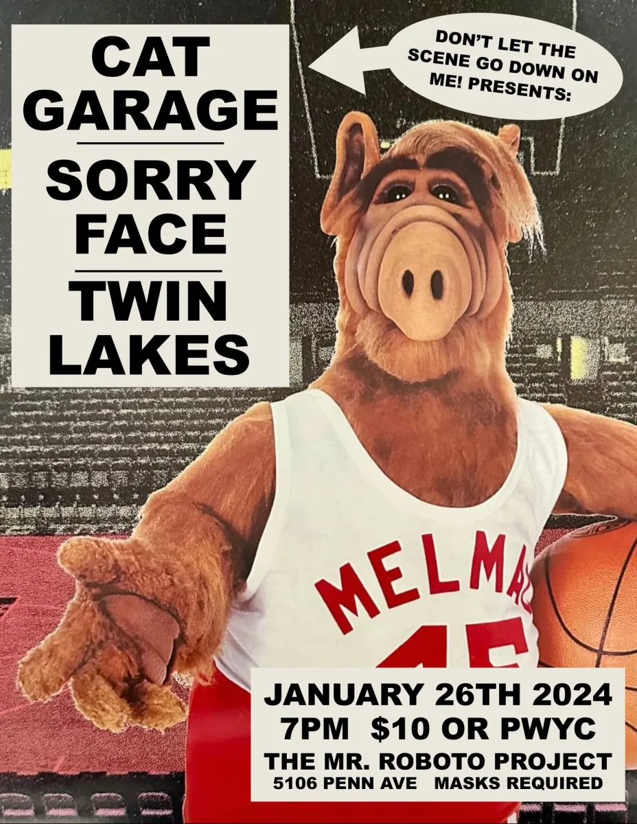 Cat Garage + Sorry Face + Twin Lakes @ Roboto Project