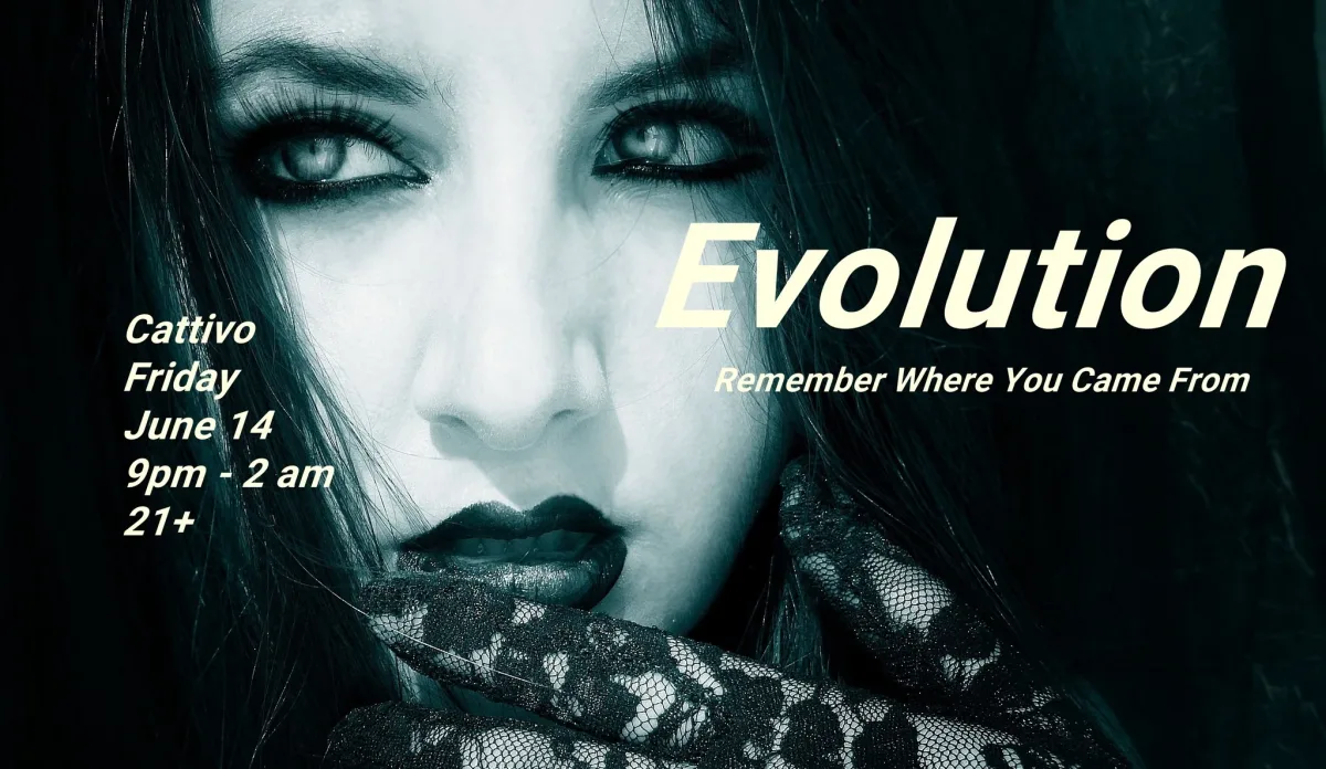 Evolution - June 2024 @ Cattivo