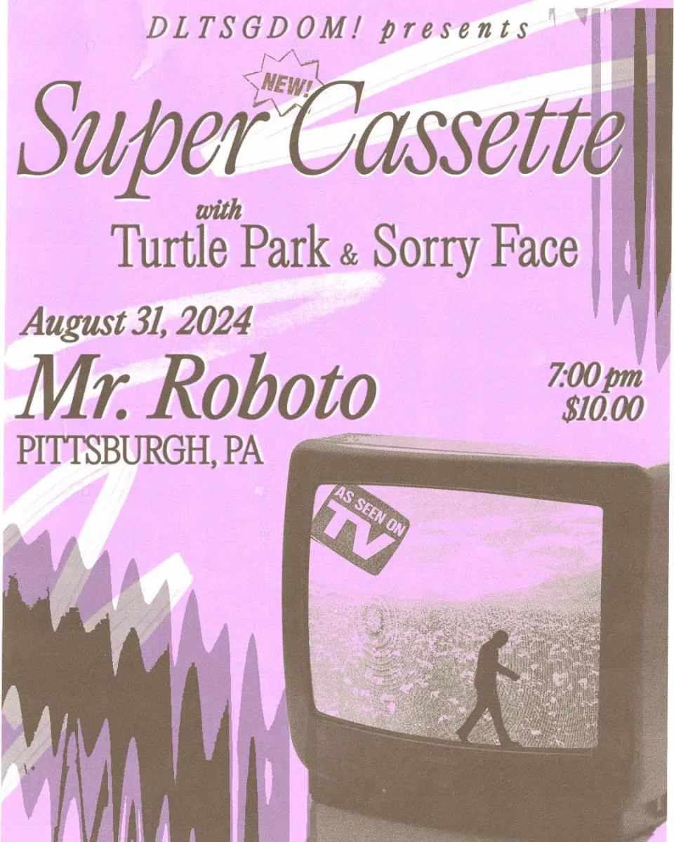 Super Cassette w/ Turtle Park + Sorry Face at Roboto @ Roboto Project