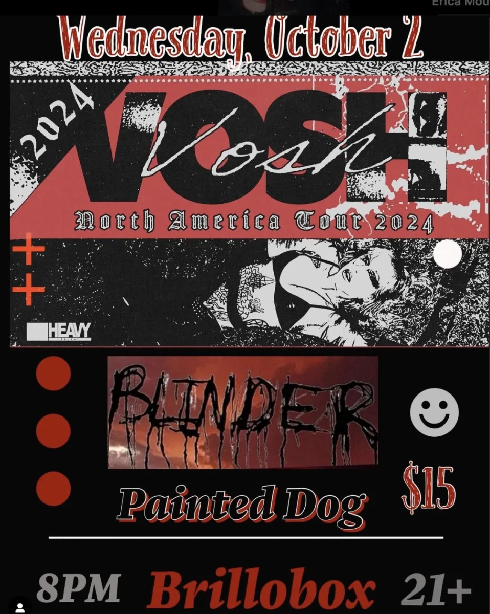 Vosh, Blinder, Painted Dog @ Brillobox