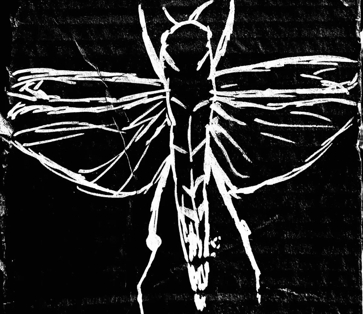 The Locust