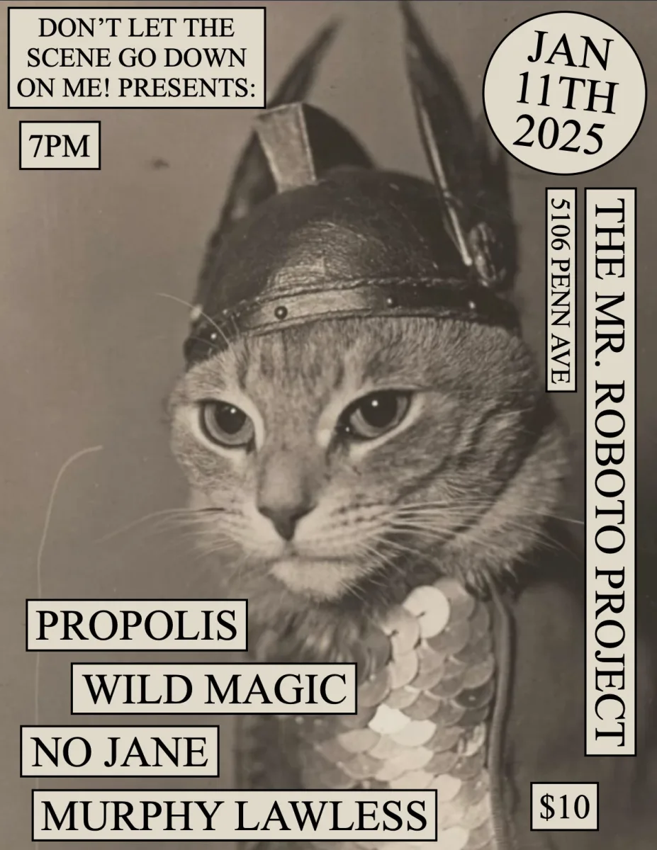 Propolis w/ No Jane + Murphy Lawless + Wild Magic @ Roboto Project