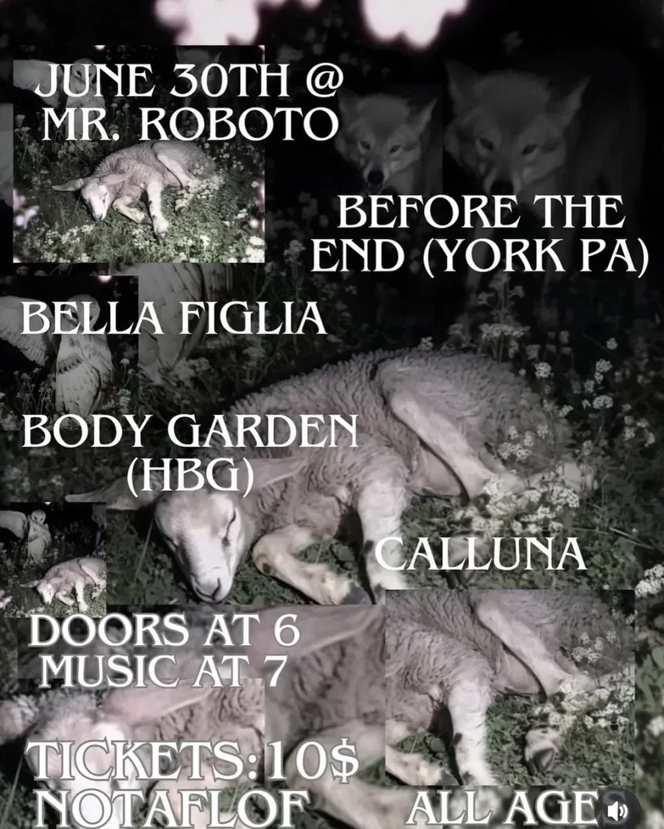 Before the End, Bella Figlia, Body Garden, Calluna @ Roboto Project