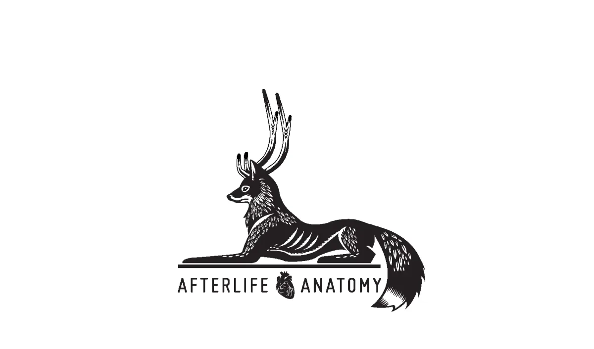 Afterlife Anatomy