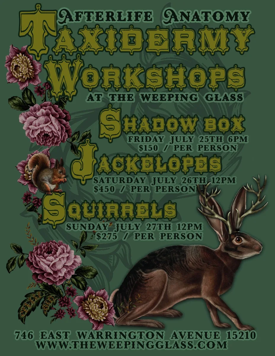 Afterlife Anatomy: Squirrels Workshop @ The Weeping Glass