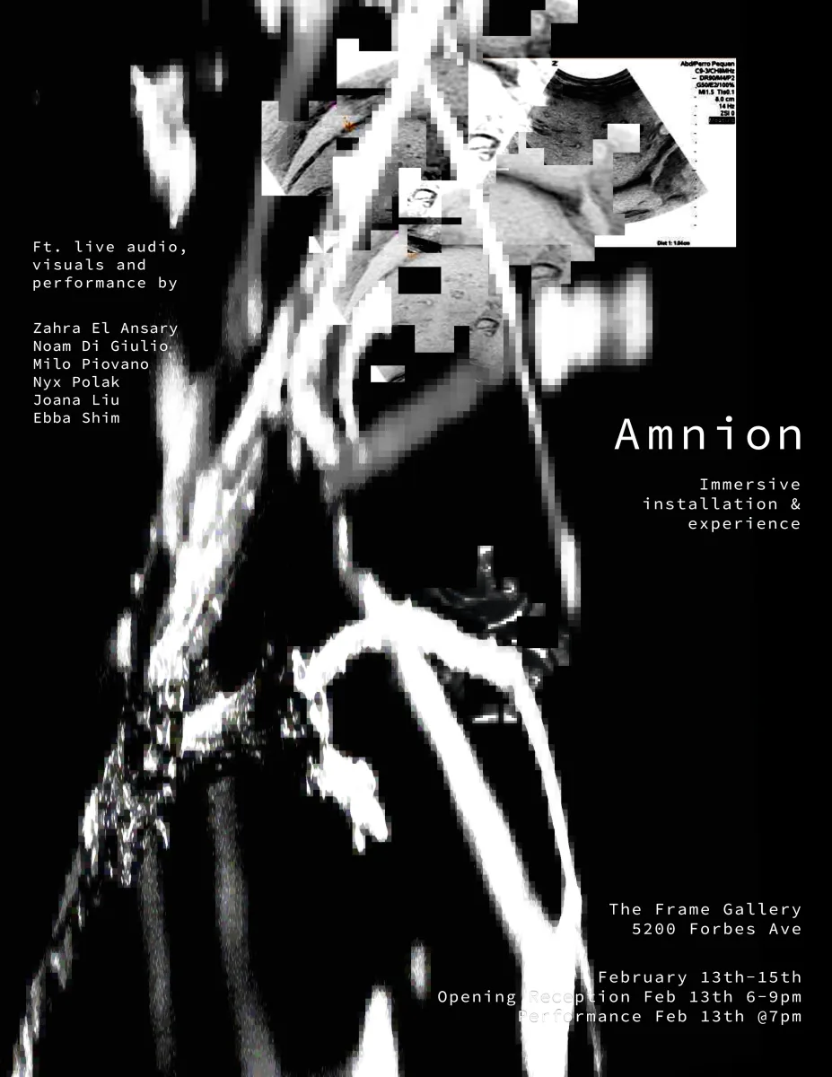 Amnion @ Frame Gallery