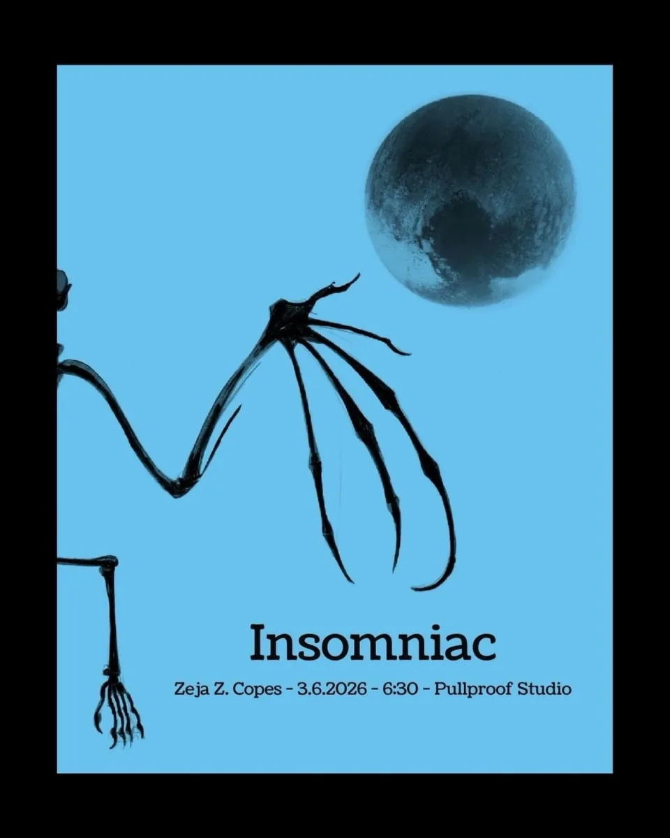 Insomniac: Opening Reception @ Pullproof