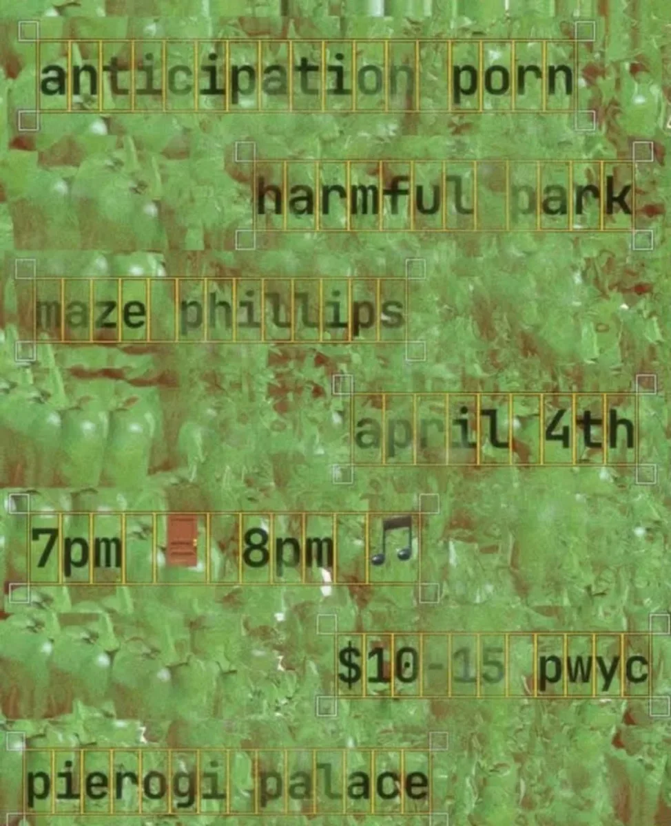 Anticipation Porn, Harmful Bark, Maze Phillips at Pierogi Palace @ Pierogi Palace