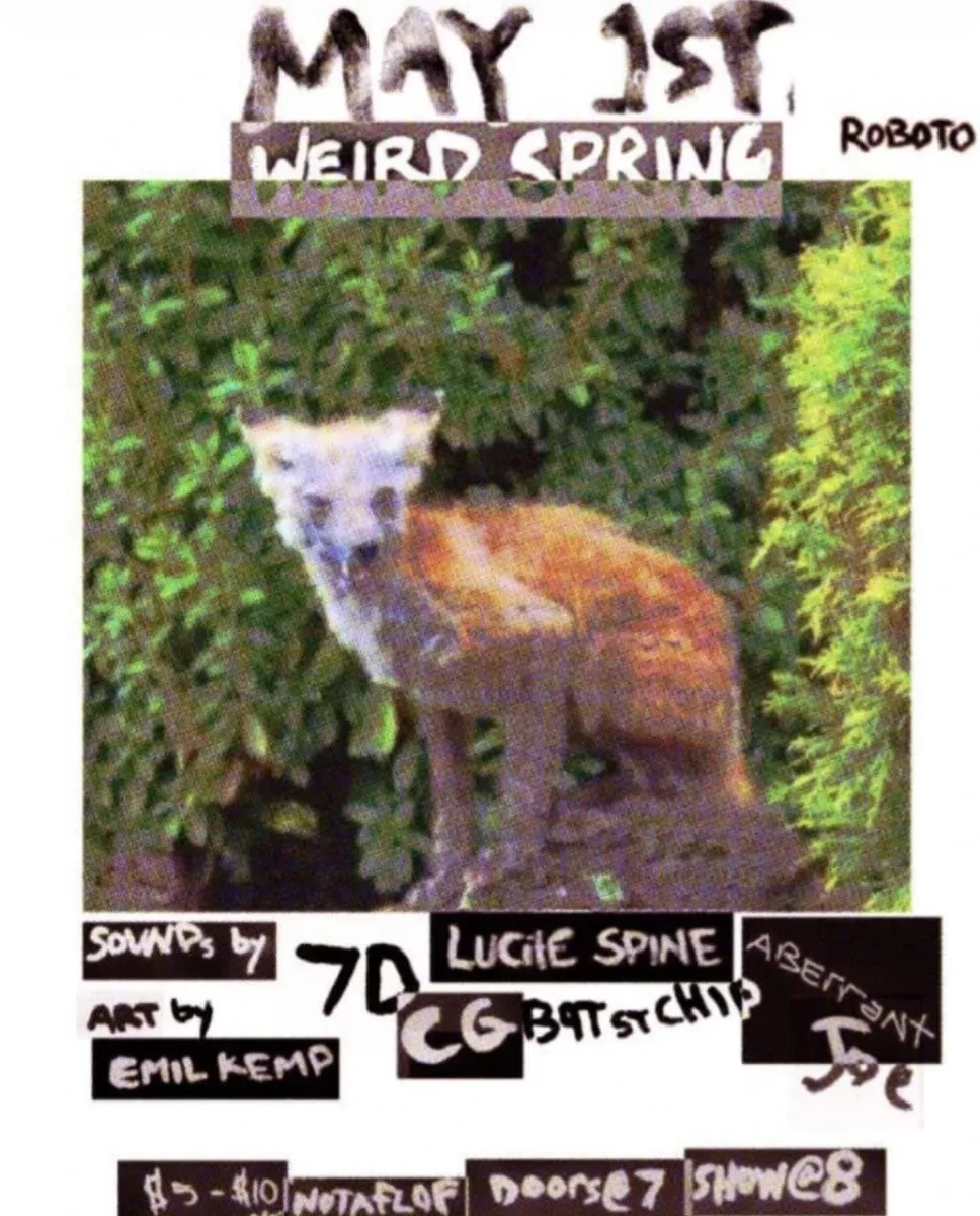 Weird Spring @ Roboto Project