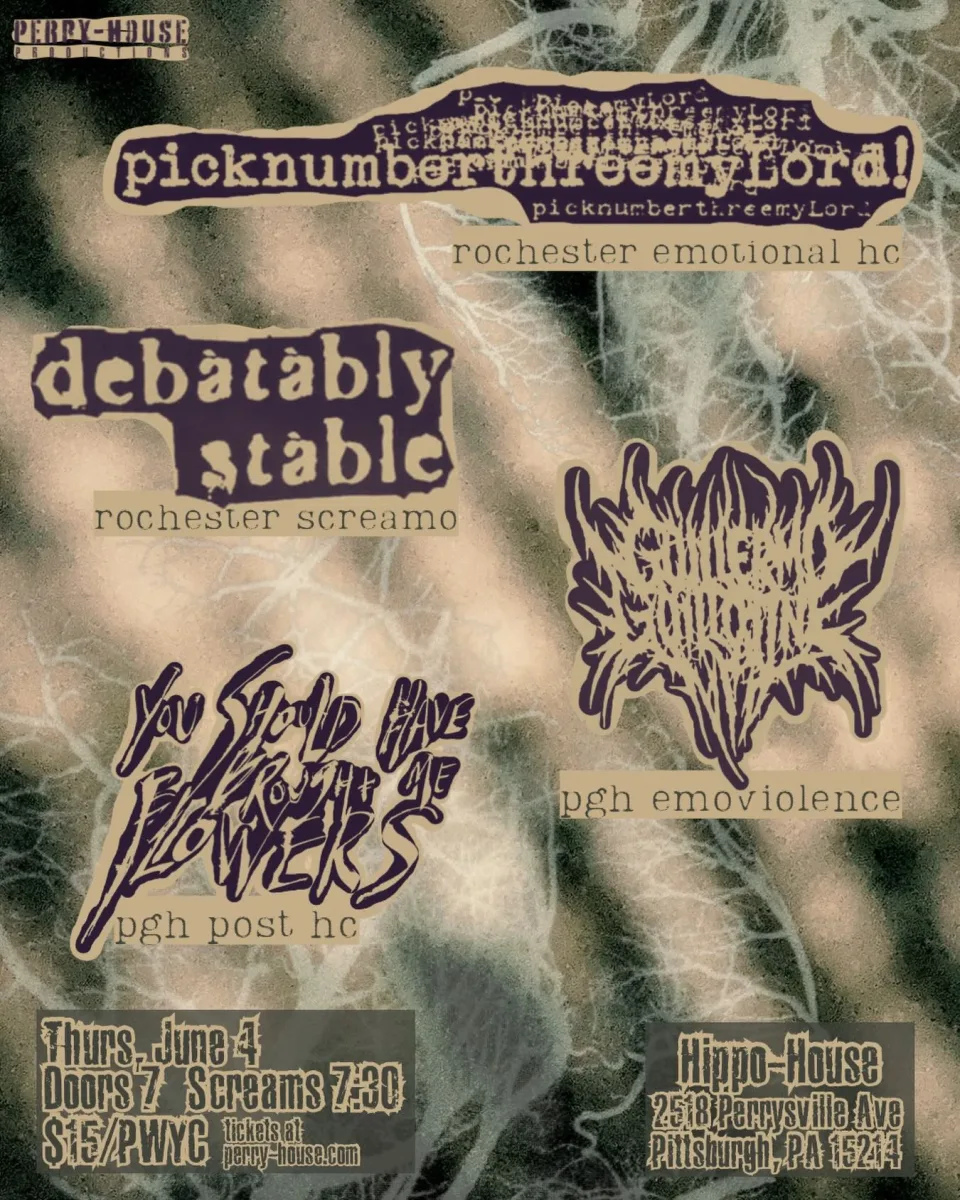 picknumberthreemyLord! / Debatably Stable / Guillermo Guillotine / You Should Have Brought Me Flowers @ Hippo House
