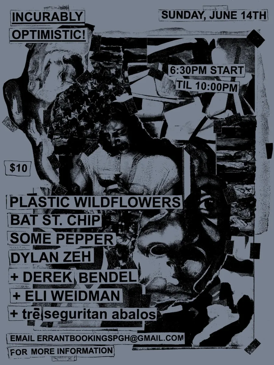 Plastic Wildflowers, Bat St. Chip, Some Pepper, Dylan Zeh + @ Incurably Optimistic