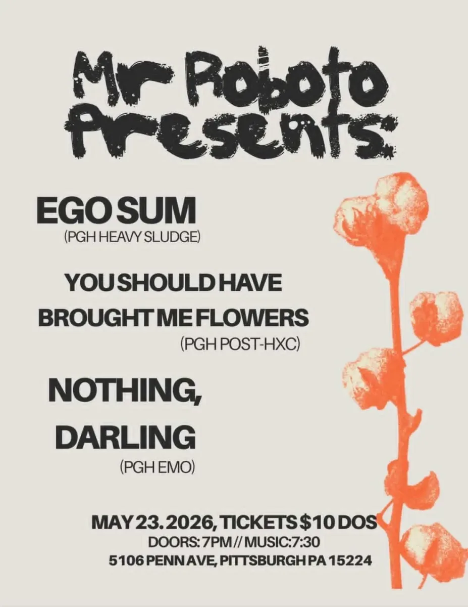 Mr Roboto Presents: Ego Sum, You Should Have Brought Me Flowers, Nothing Darling @ Roboto Project