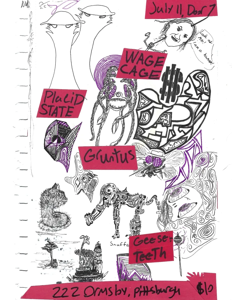 Wage Cage, Placid State, Gruitus, Geese Teeth @ 222 Ormsby