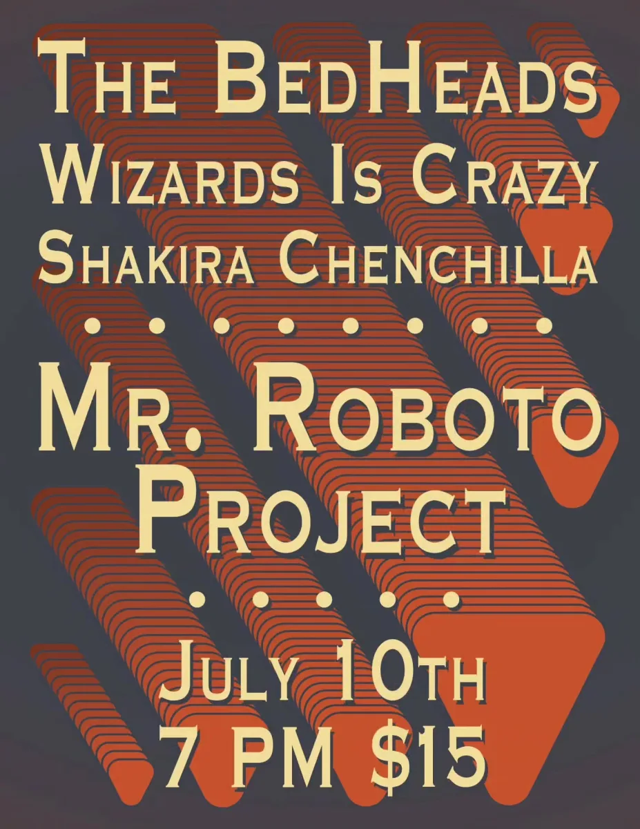 The BedHeads, Wizards Is Crazy, Shakira Chenchilla at Mr. Roboto Project @ 