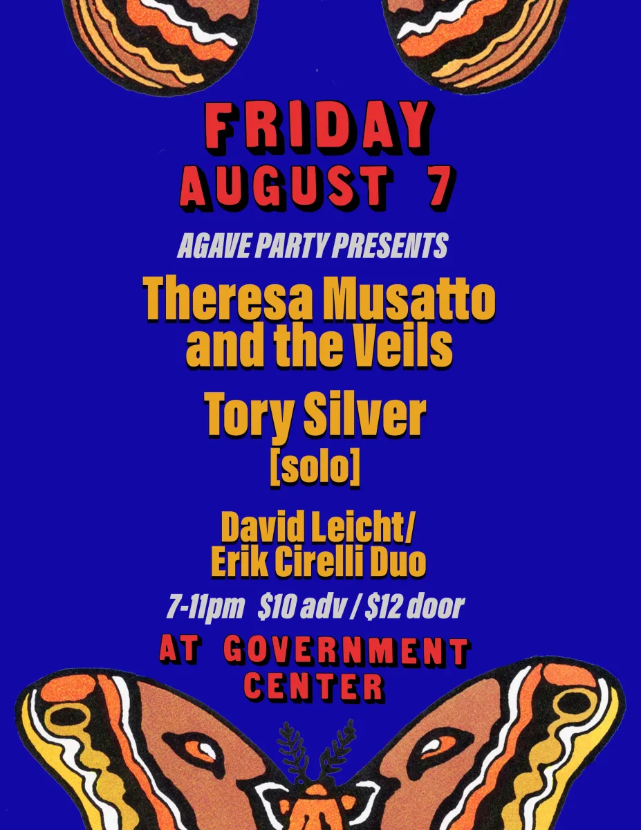 Theresa Musatto and the Veils, Tory Silver [solo], David Leicht/Erik Cirelli Duo @ The Government Center