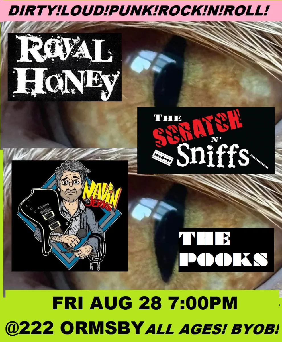 Royal Honey, The Scratch 'n' Sniffs, Navin and the Jerks, The Pooks @ 222 Ormsby