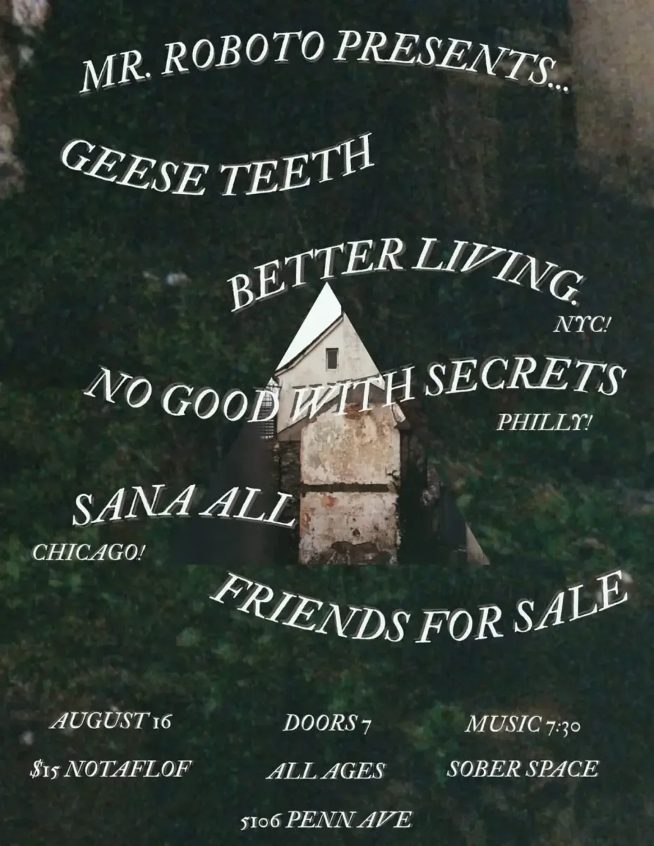 Geese Teeth, Better Living, No Good With Secrets, Sana All, Friends For Sale @ Roboto Project