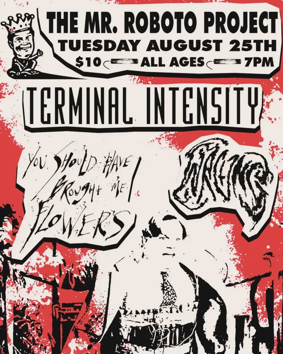 Terminal Intensity @ Roboto Project