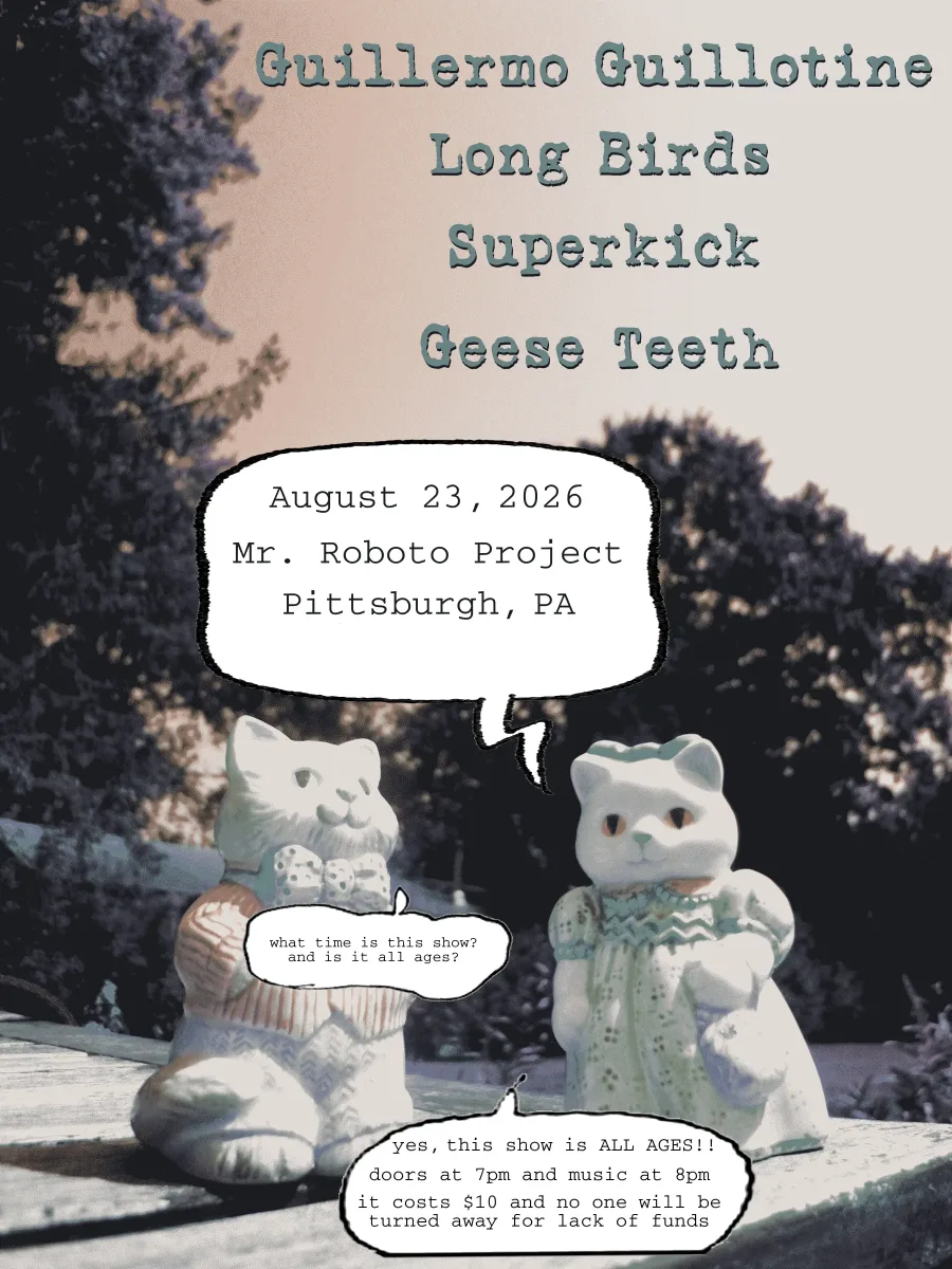 Long Birds / Superkick / Guillermo Guillotine / Geese Teeth @ Roboto Project