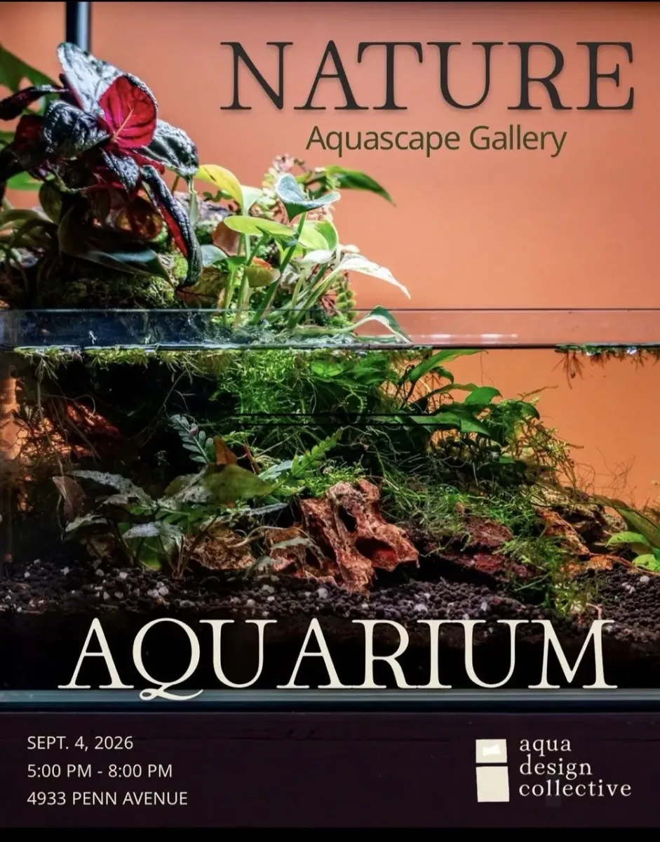 Aquarium @ 