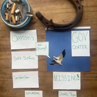 Options with Charcoal Squids, Rat Tits, and Special Guest