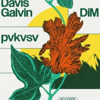 Brewery Sessions: Davis Galvin, DiM, pvkvsv