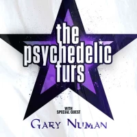 The Psychedelic Furs with Gary Numan