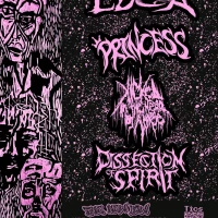 Luga / Princessos / Luga the Merry Plankers / Dissection of Spirit