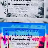 Drum and Bass Monthly w/ Alpha Rhythm, Nicky P, Toaso