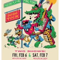 Pigeons Playing Ping Pong w/ Karina Rykman