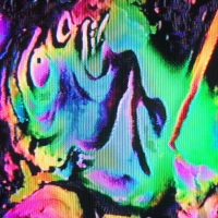 Xen Chron (Boston), Family Trust (PDX), Seaclones, Disheveled, Nasty Taxi