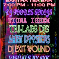 DJ Poodle Emoji, Fiona Ishem, Tri-Labs DJs, Amby Doosters, DJ Exit Wound