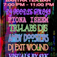 DJ Poodle Emoji, Fiona Ishem, Tri-Labs DJs, Amby Doosters, DJ Exit Wound
