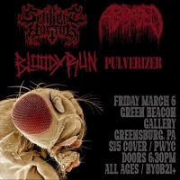 Sanguinary Torture / Abraded / Bloody Run / Pulverizer at Green Beacon