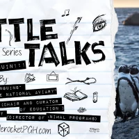 Bottle Talks: A Lecture Series