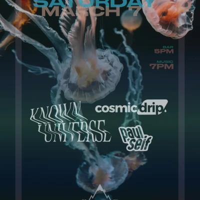 Summit Saturday: Known Universe, Cosmic Drip, Paul Self