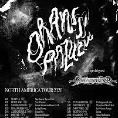 1773344064_images (73).webp