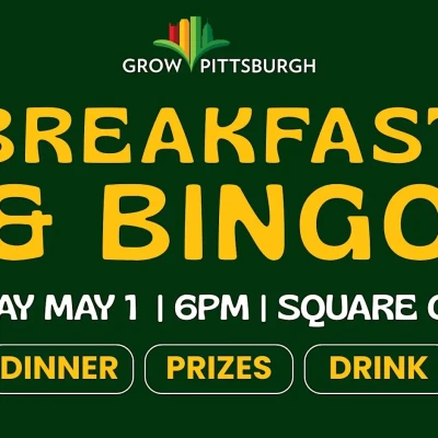 1775081002_image (6).webp