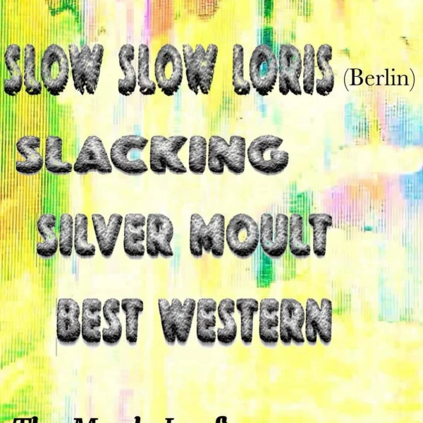 Slow Slow Loris / Slacking / Silver Moult / Best Western