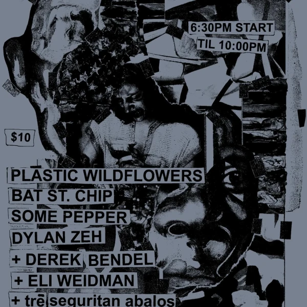 Plastic Wildflowers, Bat St. Chip, Some Pepper, Dylan Zeh +