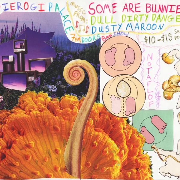 Some Are Bunnies