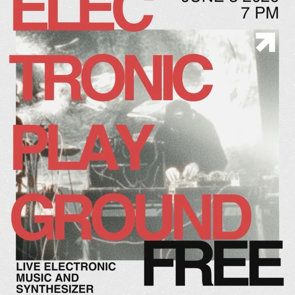 Electronic Playground