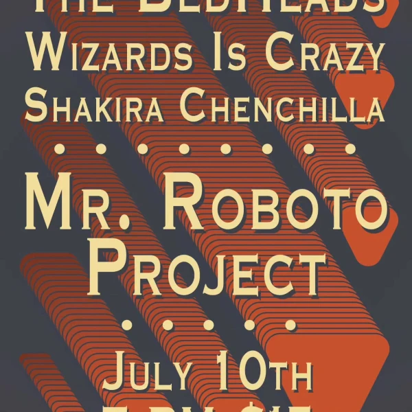 The BedHeads, Wizards Is Crazy, Shakira Chenchilla at Mr. Roboto Project
